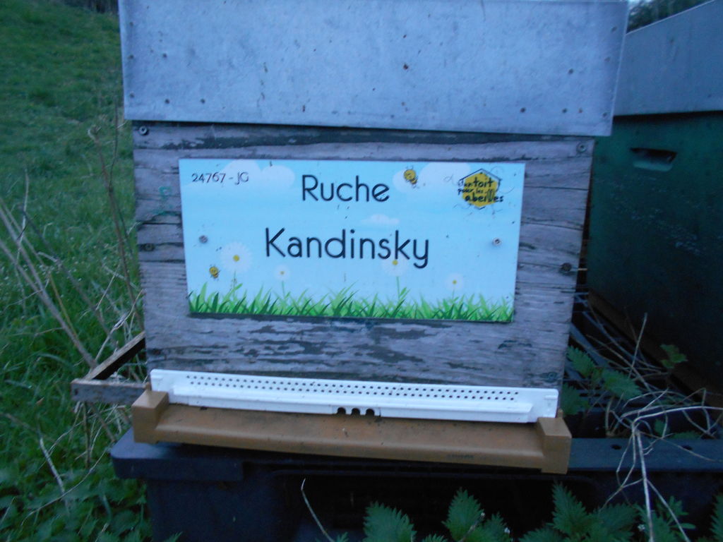 La ruche Kandinsky