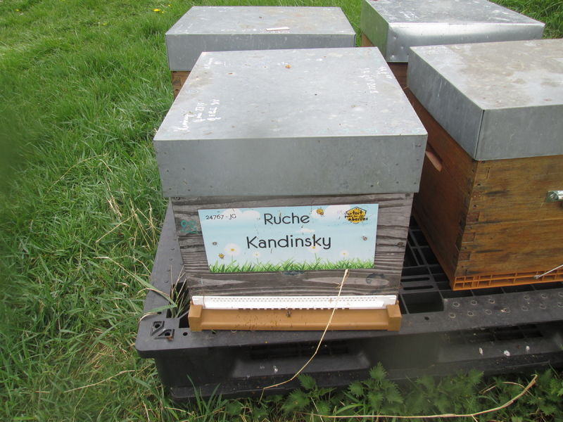 La ruche Kandinsky