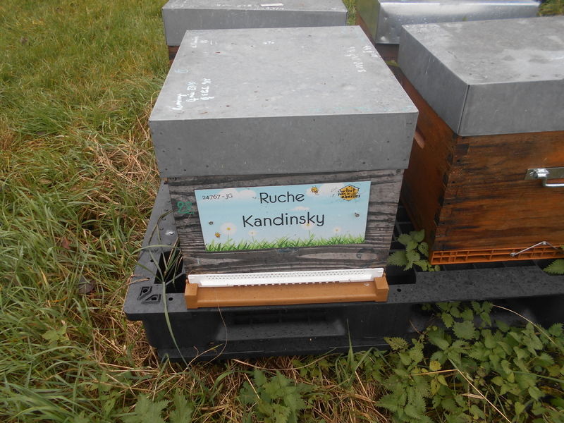 La ruche Kandinsky