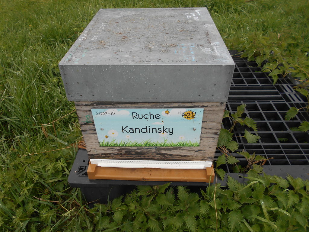 La ruche Kandinsky