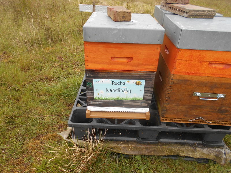 La ruche Kandinsky