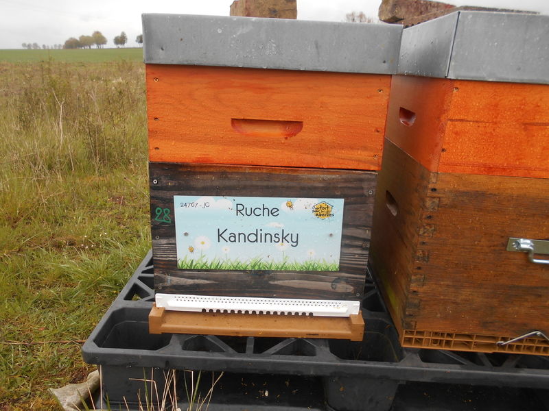 La ruche Kandinsky