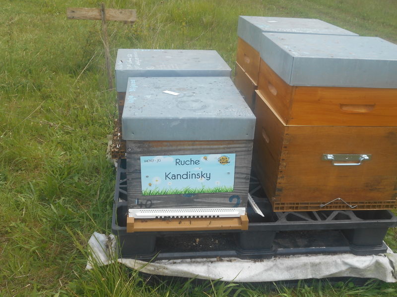 La ruche Kandinsky