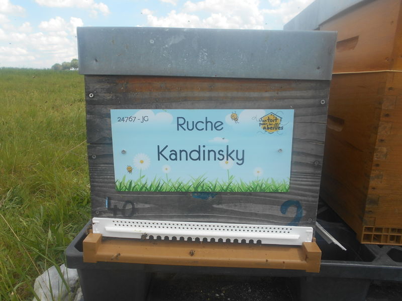La ruche