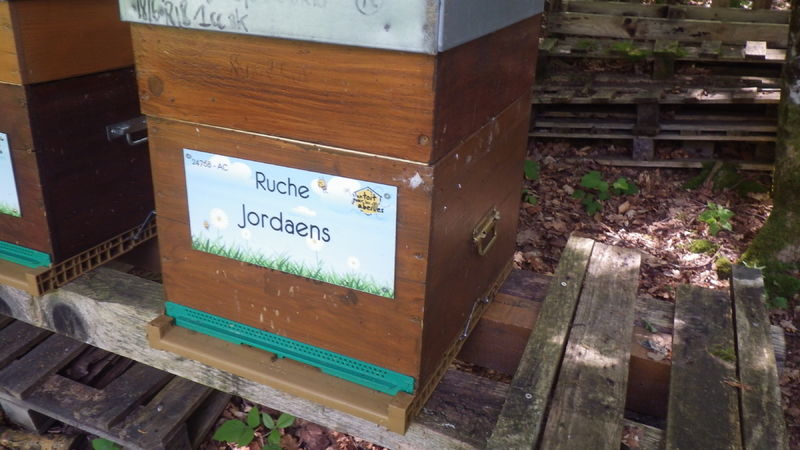 La ruche Jordaens