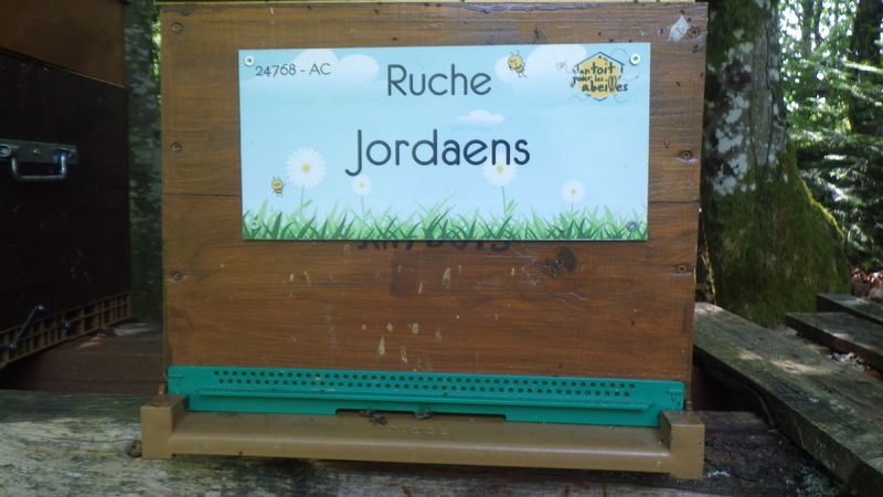 La ruche Jordaens