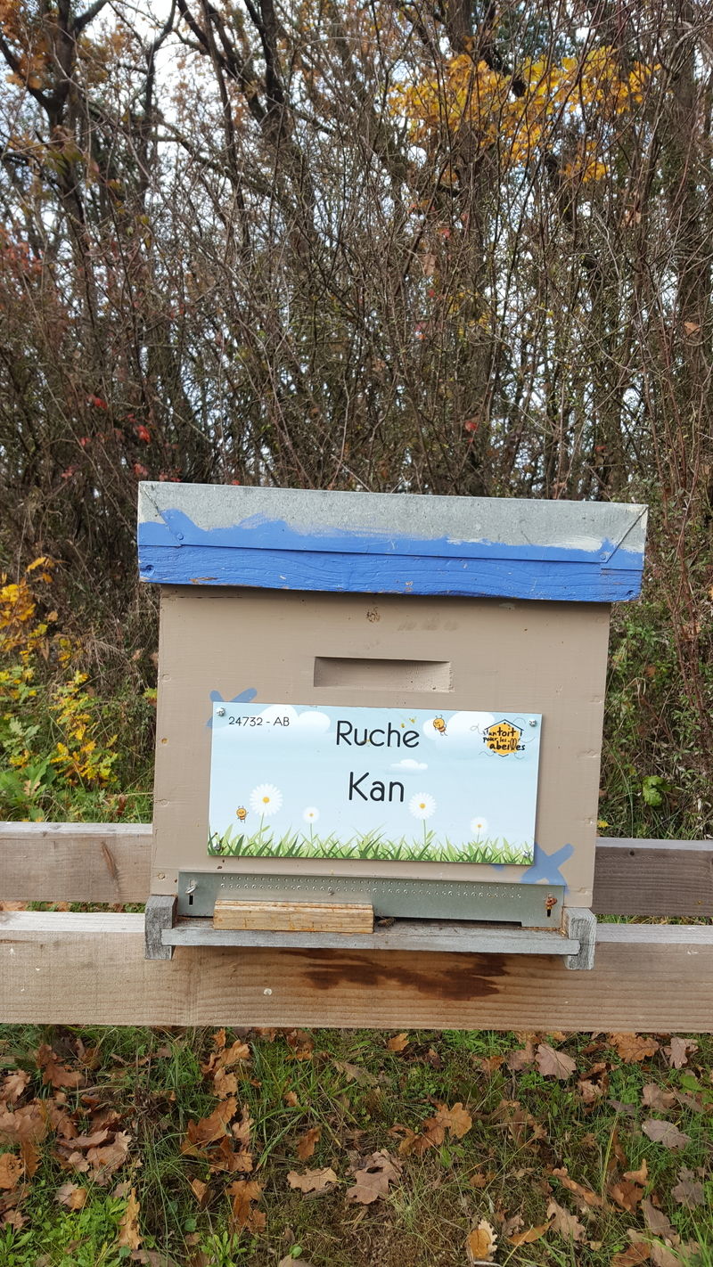 La ruche