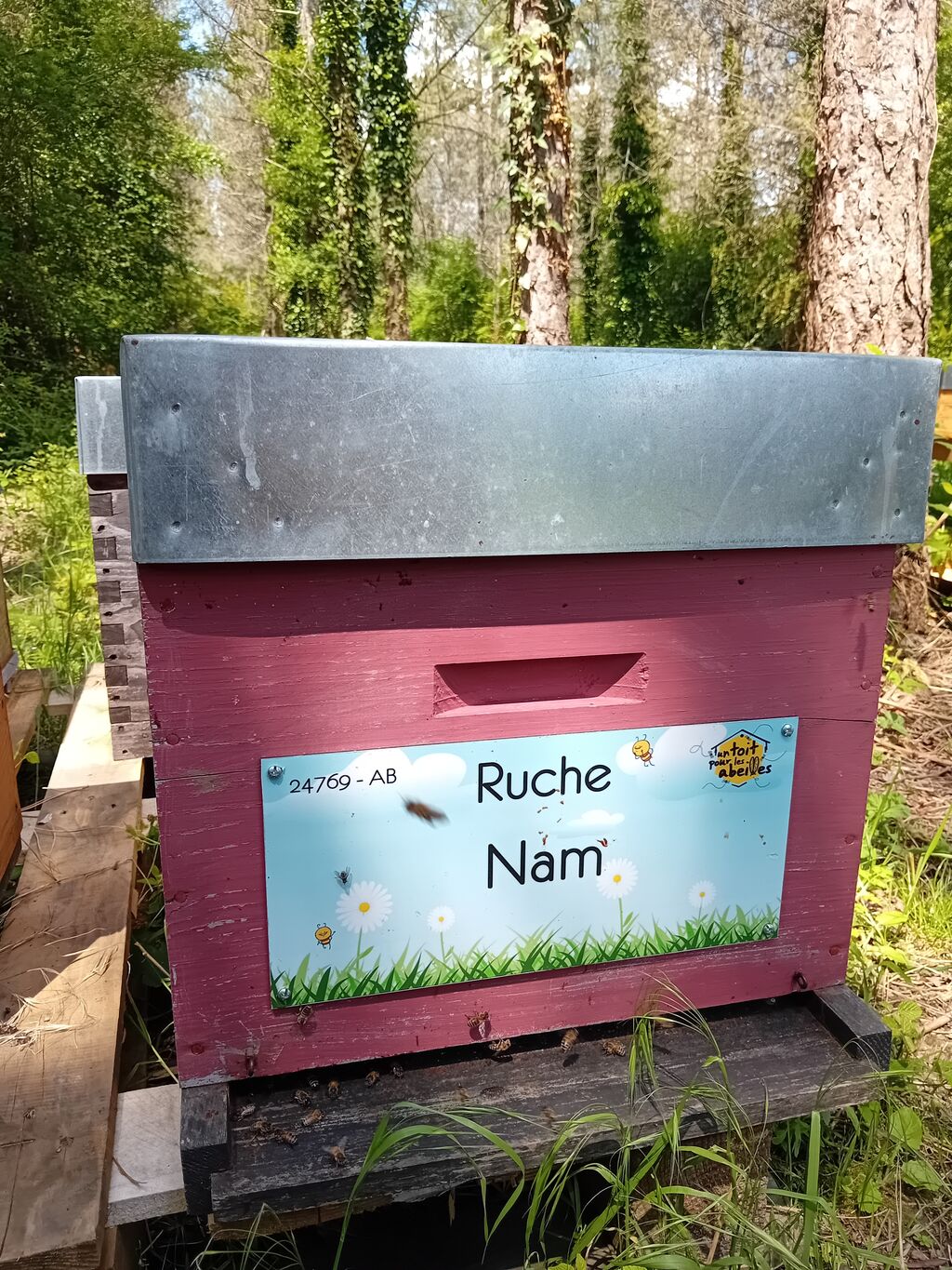La ruche Nam