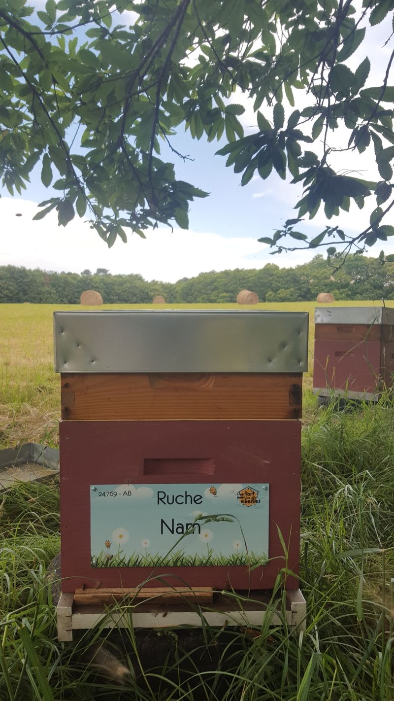 La ruche Nam