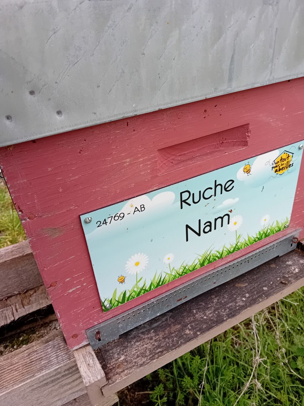 La ruche Nam