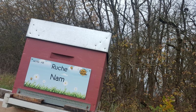 La ruche Nam