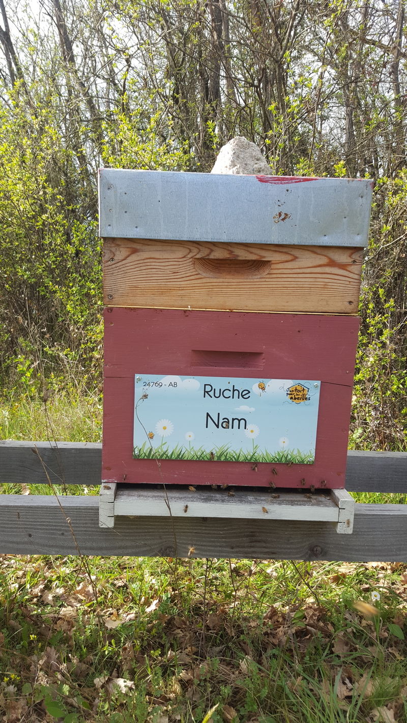 La ruche Nam