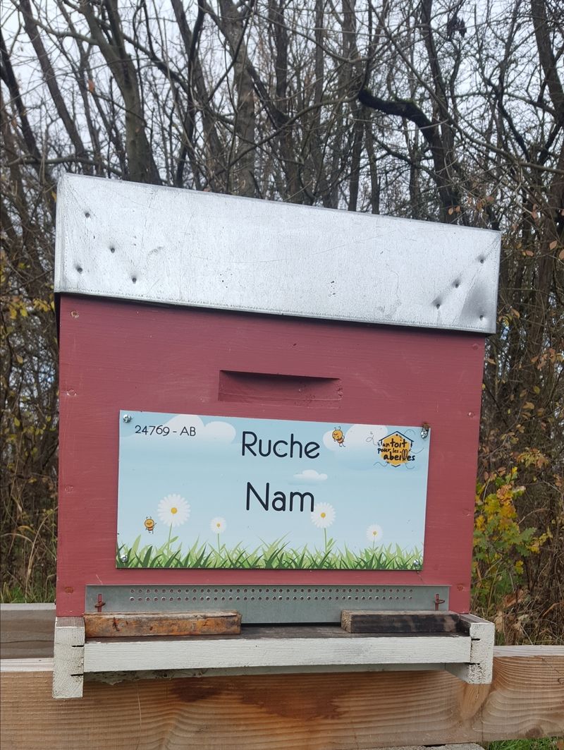 La ruche Nam