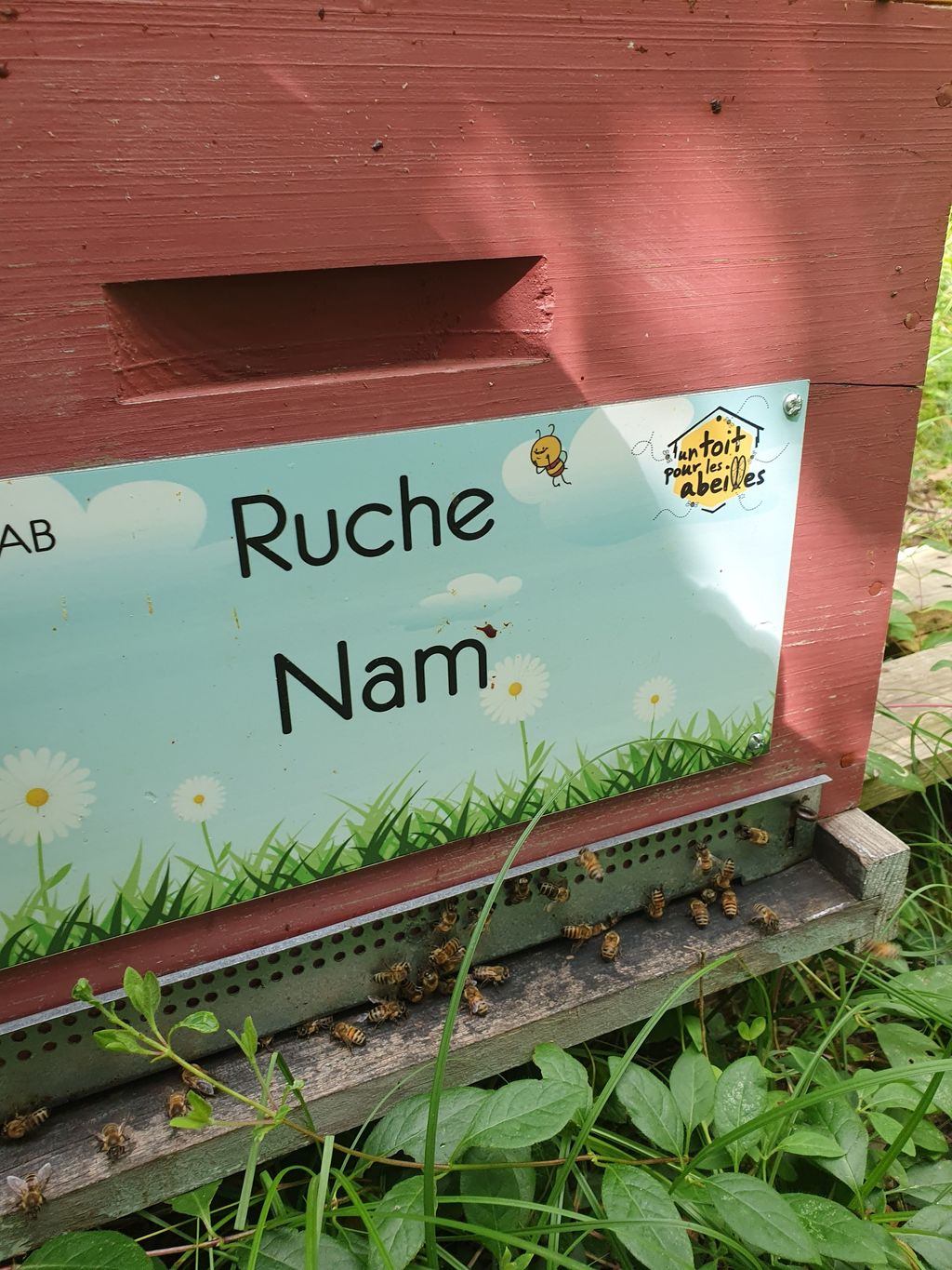 La ruche Nam