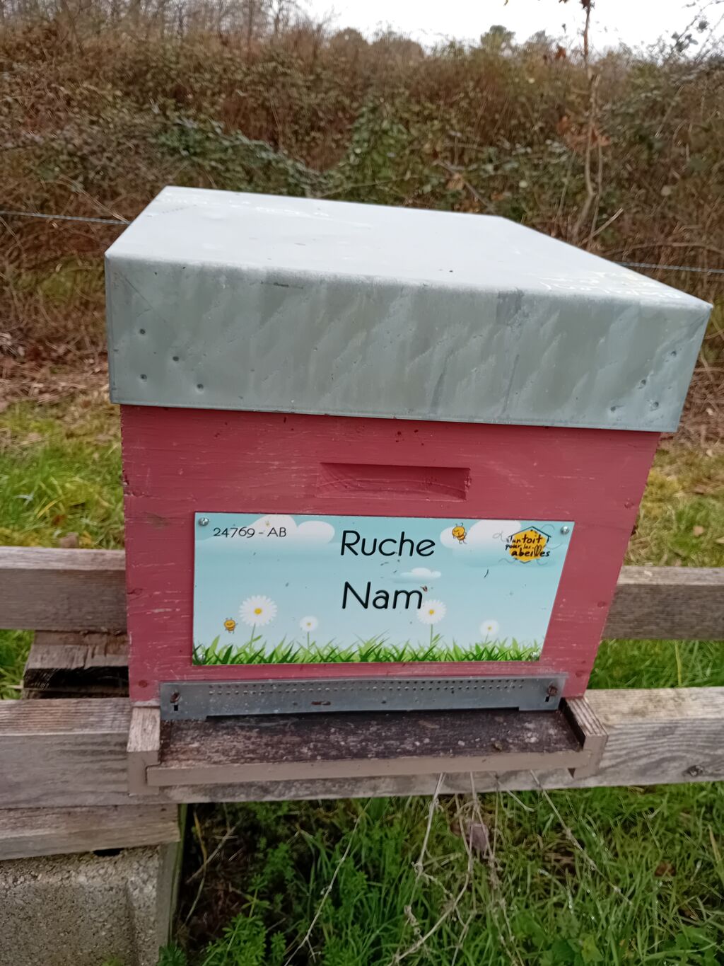La ruche Nam
