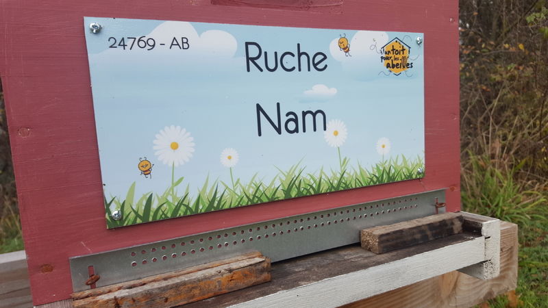 La ruche Nam