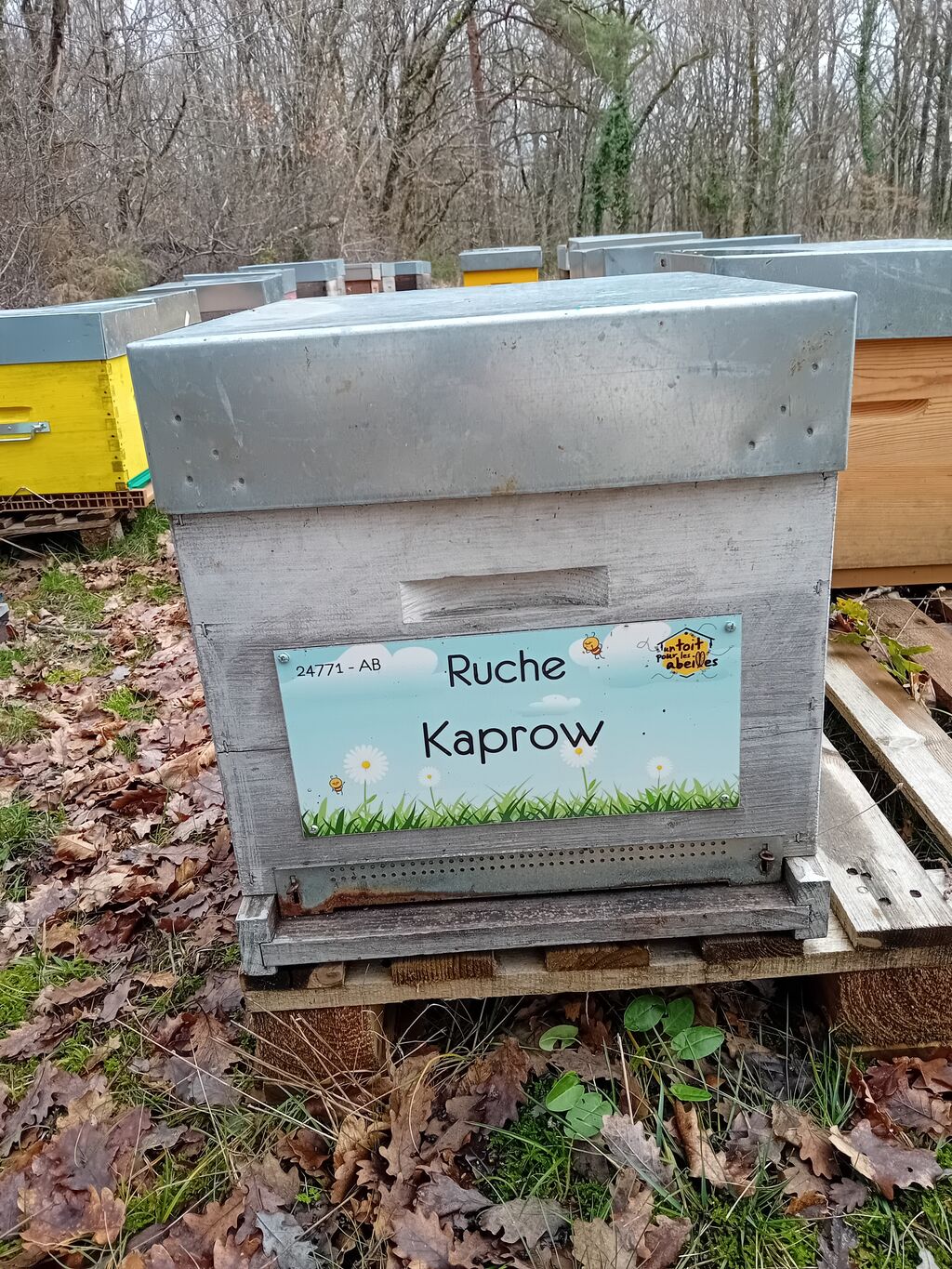 La ruche Kaprow