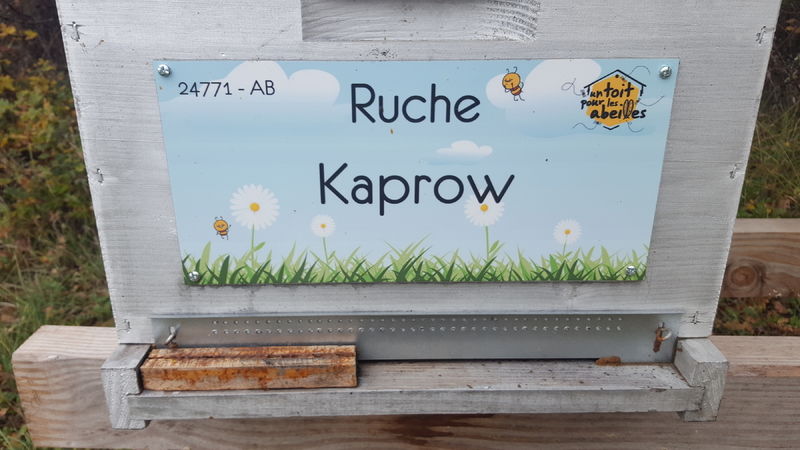 La ruche