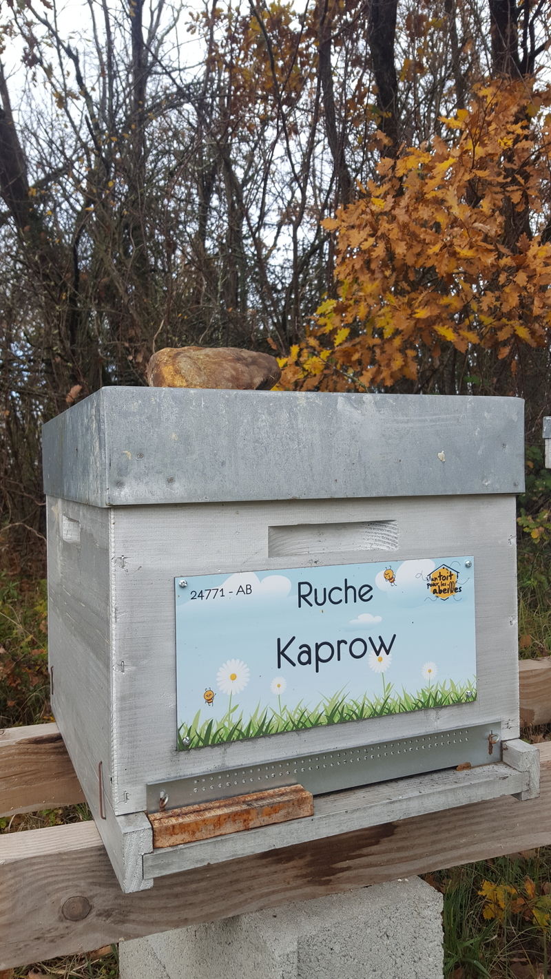 La ruche Kaprow