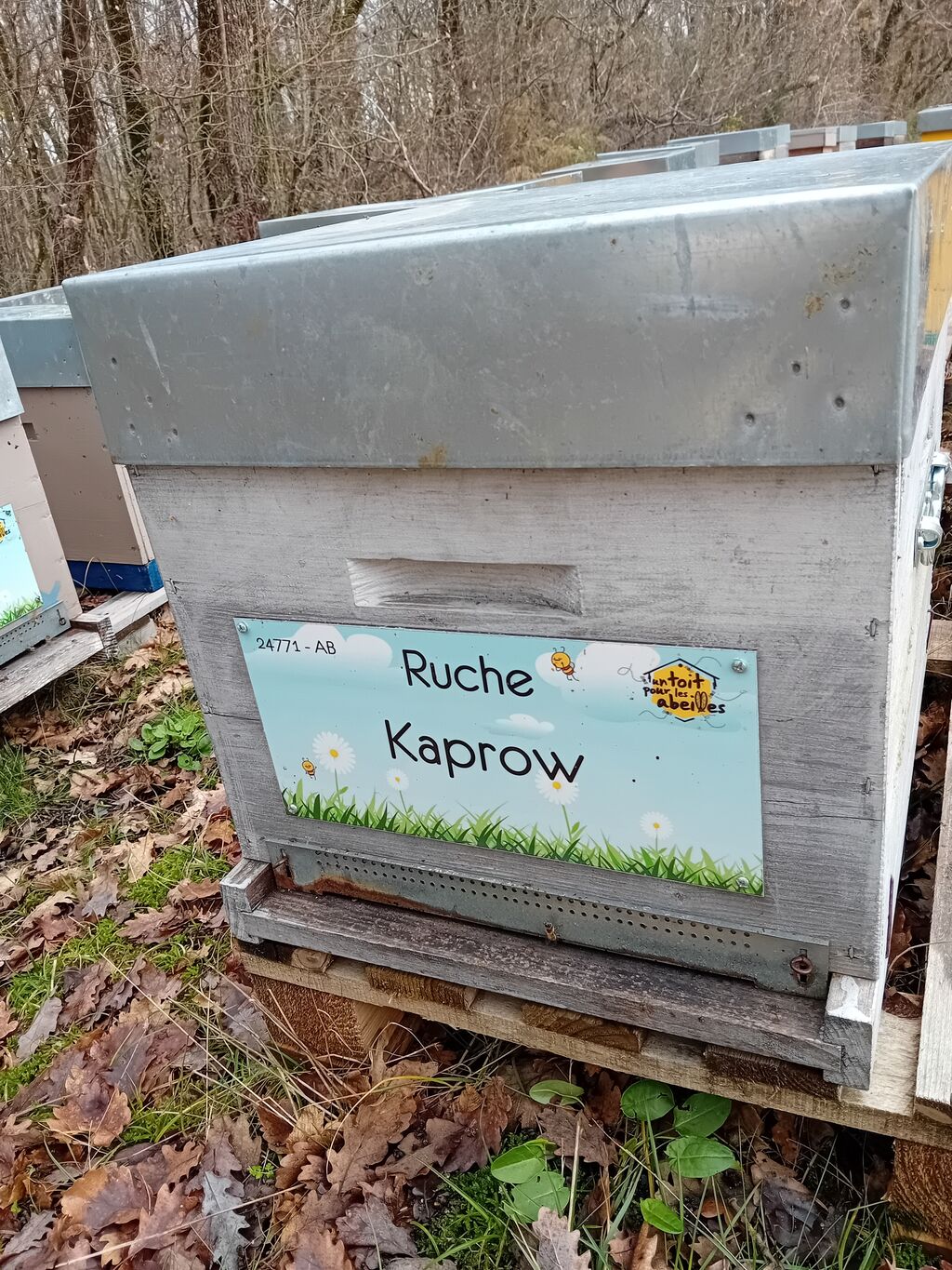 La ruche Kaprow