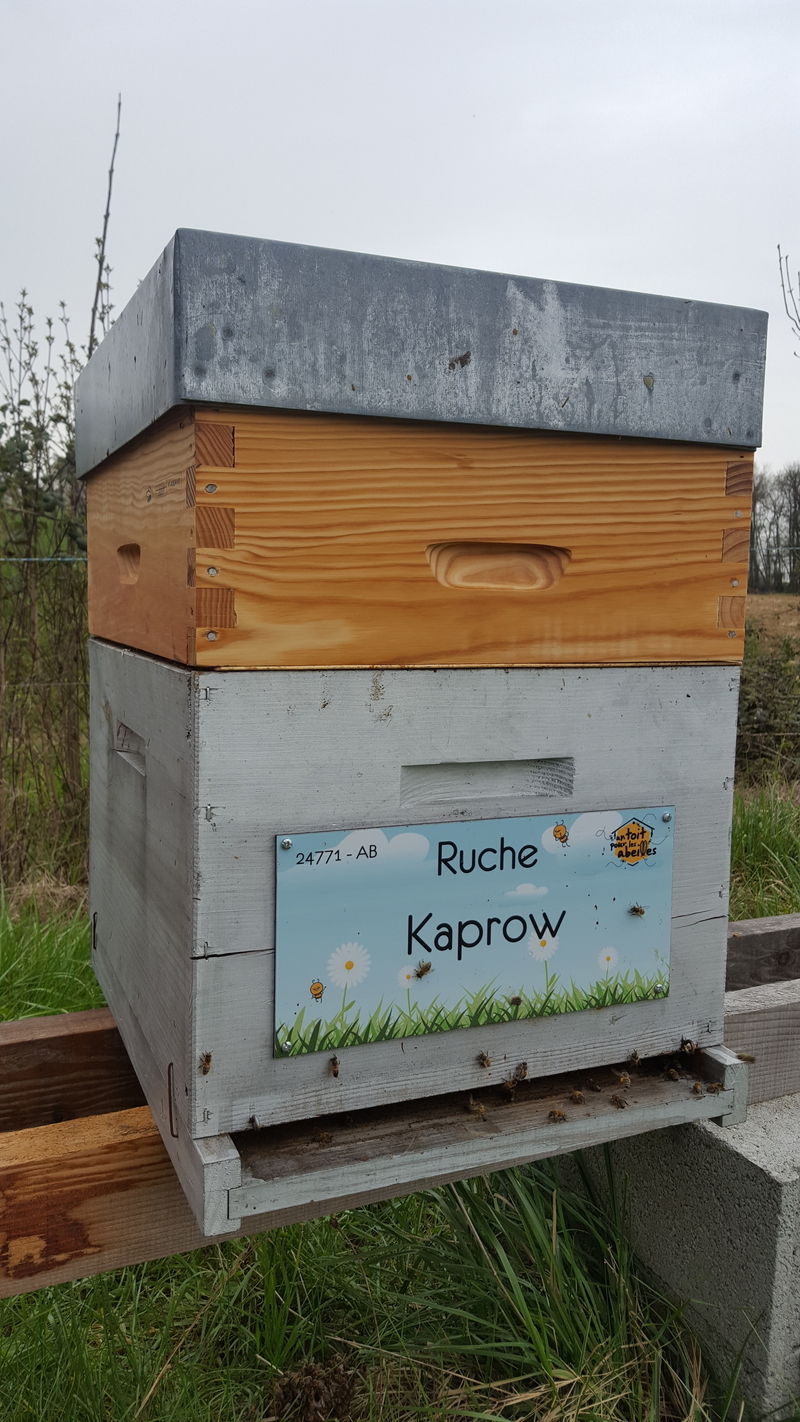 La ruche Kaprow