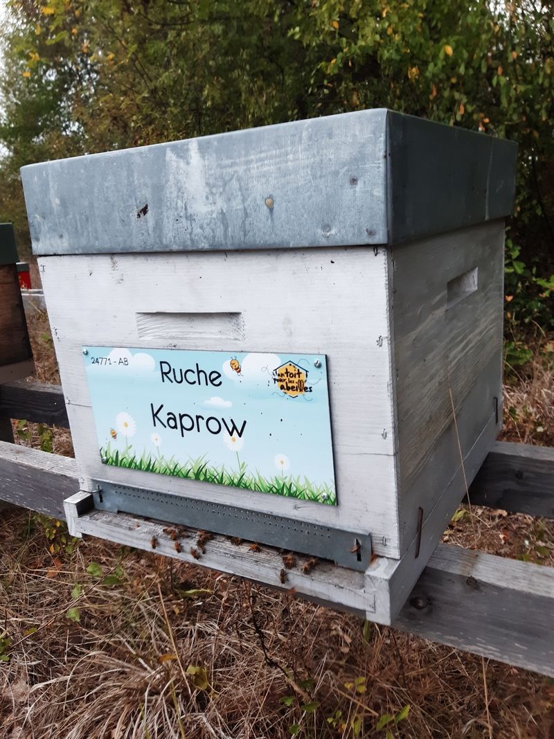 La ruche Kaprow