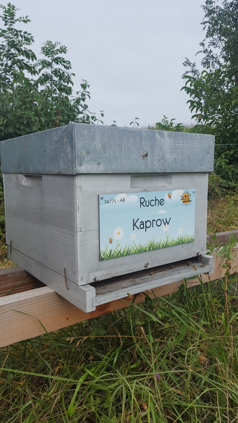 La ruche Kaprow