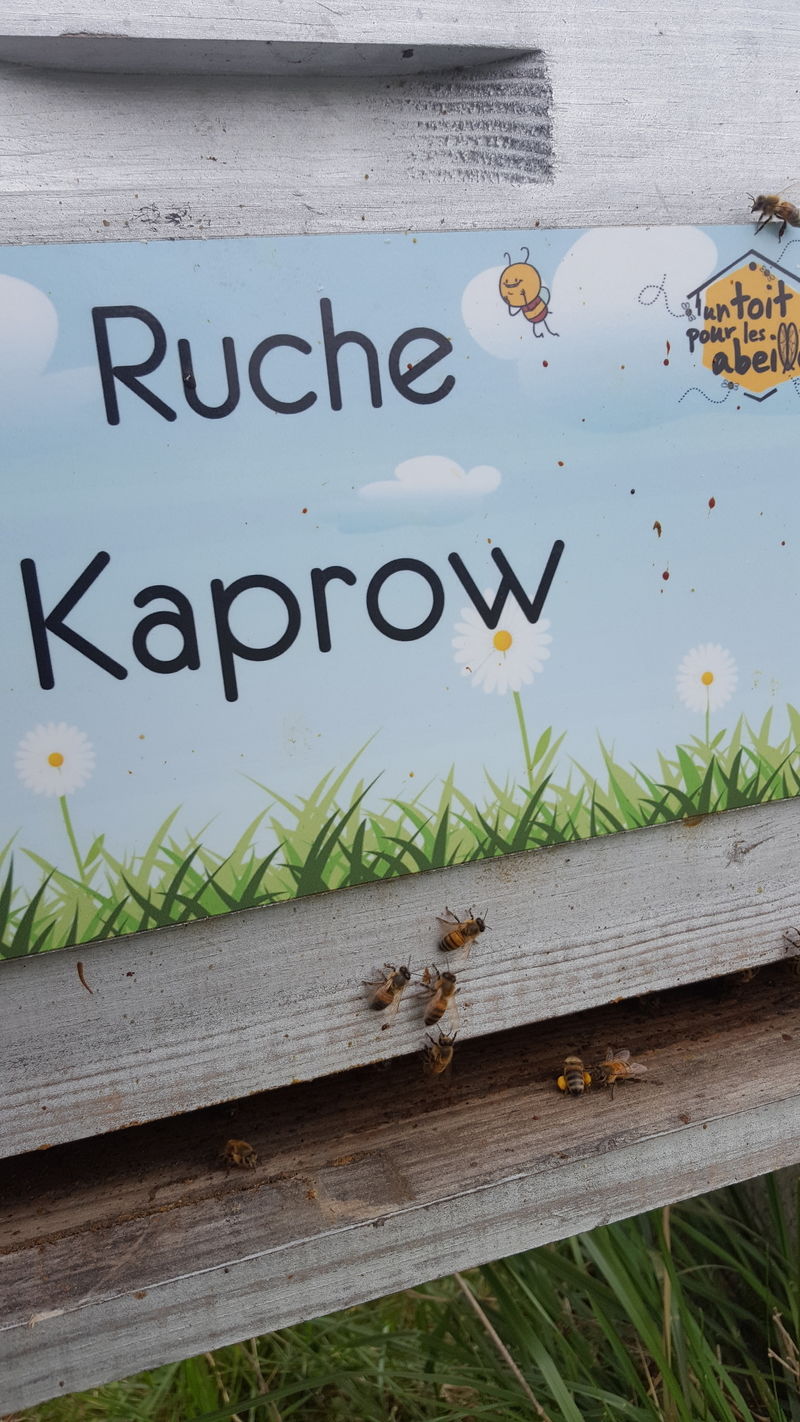 La ruche Kaprow