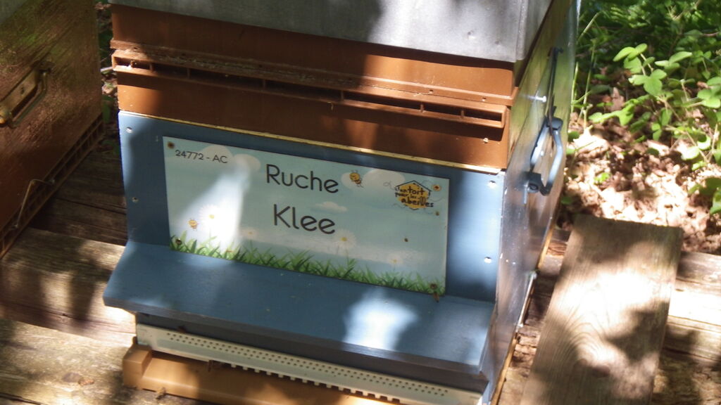 La ruche Klee
