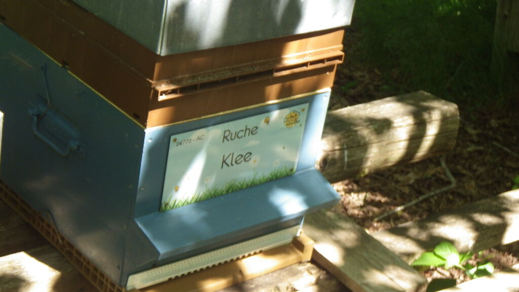 La ruche Klee
