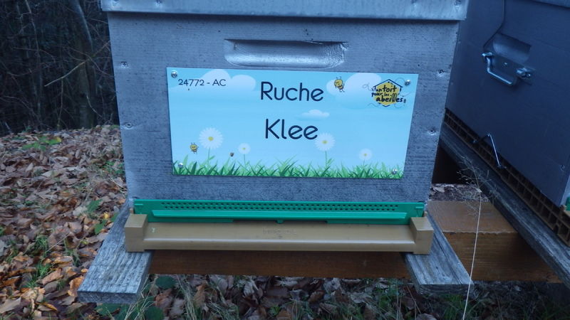 La ruche
