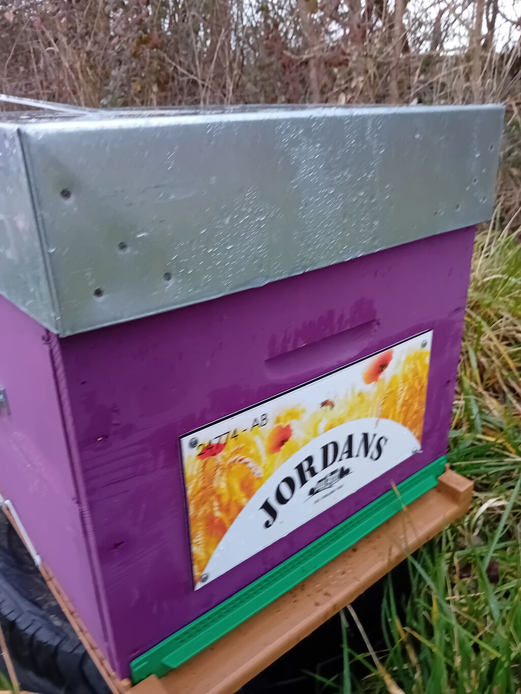 La ruche Jordans dorset ryvita