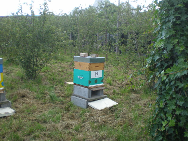 La ruche Honfleur Normandy Outlet