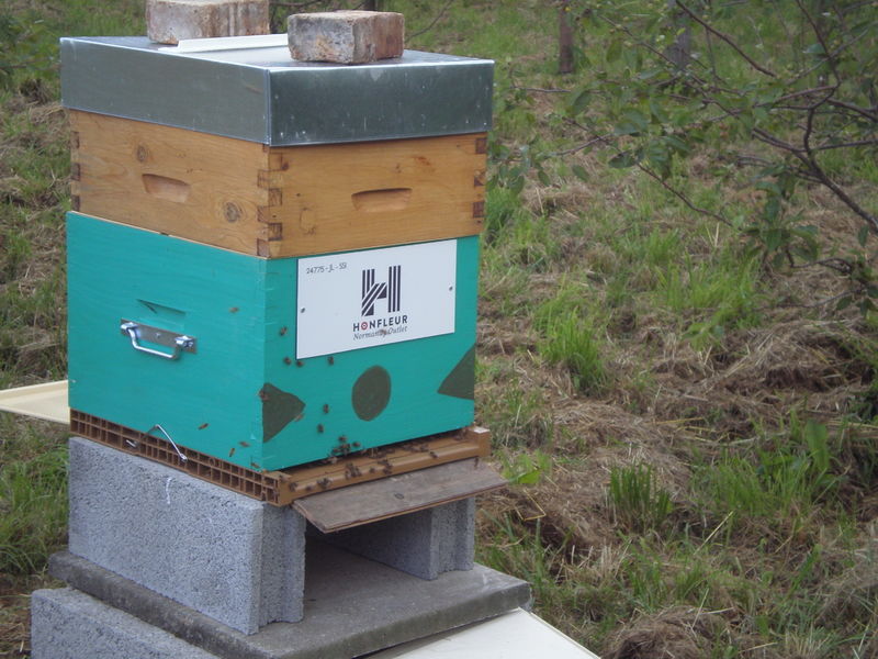 La ruche Honfleur Normandy Outlet