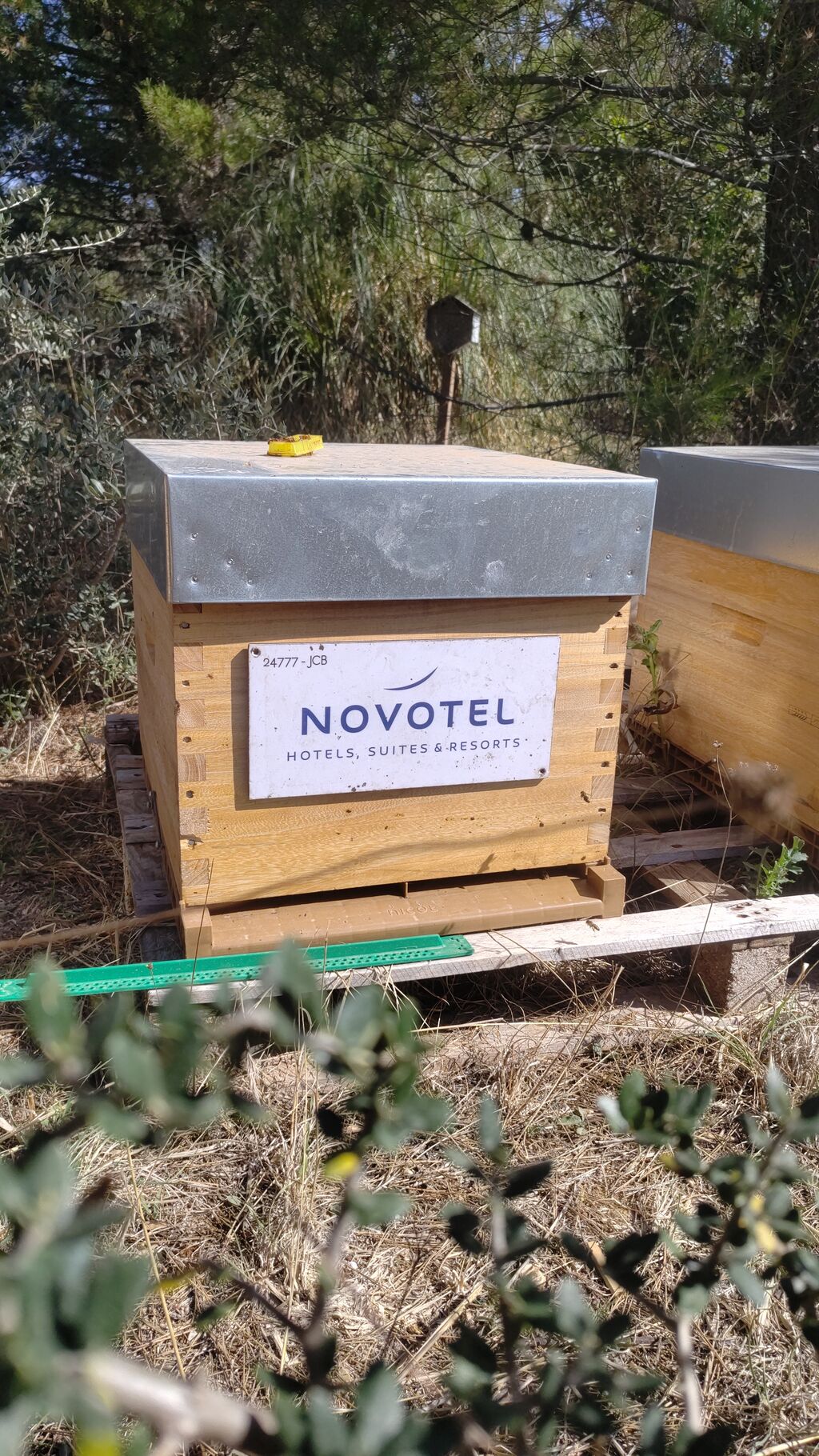 La ruche SEHMP NOVOTEL MARSEILLE PRADO