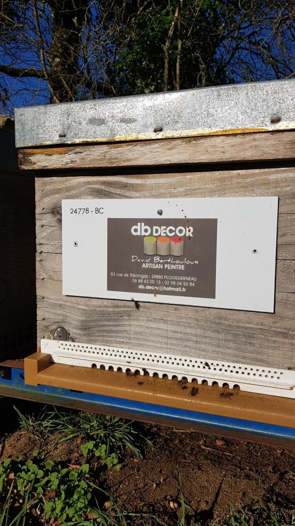 La ruche Artisan peintre DB decor