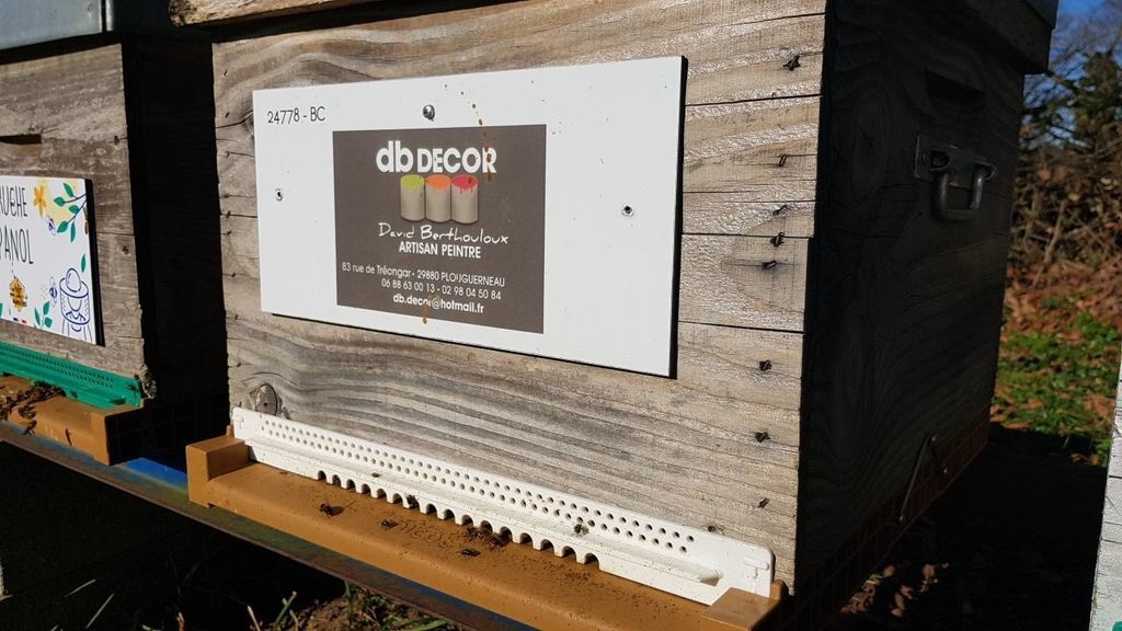 La ruche Artisan peintre DB decor