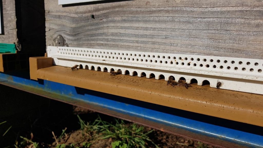 La ruche Artisan peintre DB decor