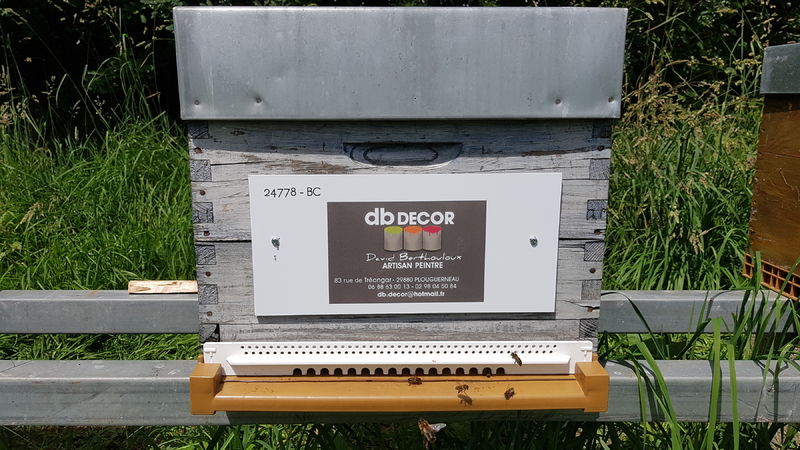 La ruche Artisan peintre DB decor