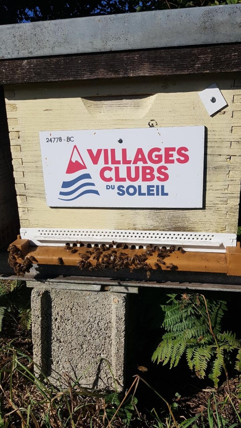 La ruche VILLAGES CLUBS DU SOLEIL BEG-MEIL