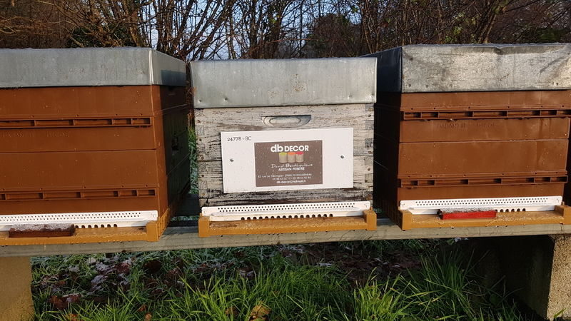 La ruche Artisan peintre DB decor