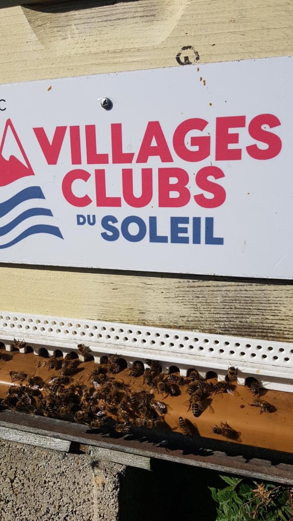 La ruche VILLAGES CLUBS DU SOLEIL BEG-MEIL