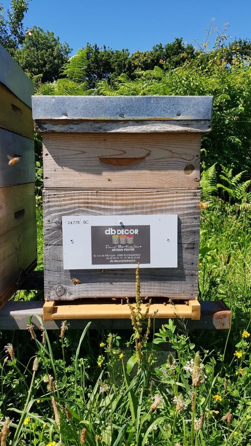 La ruche Artisan peintre DB decor