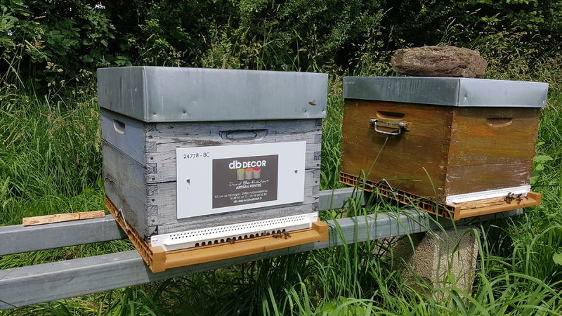 La ruche Artisan peintre DB decor