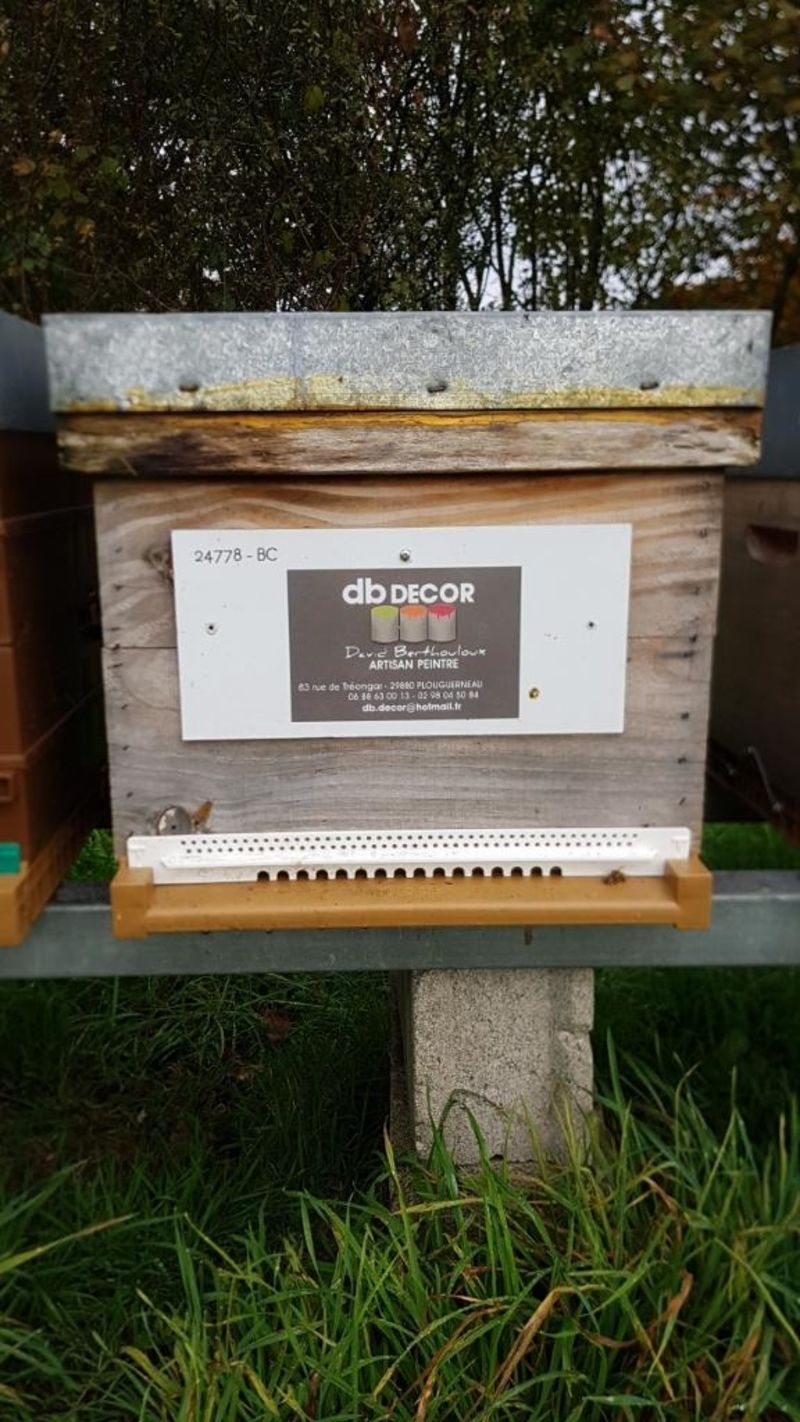 La ruche Artisan peintre DB decor