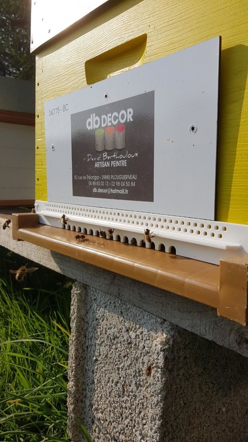 La ruche Artisan peintre DB decor
