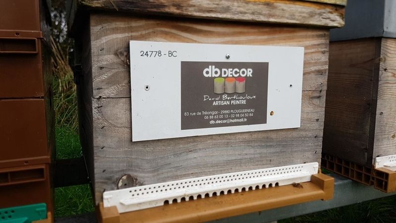 La ruche Artisan peintre DB decor