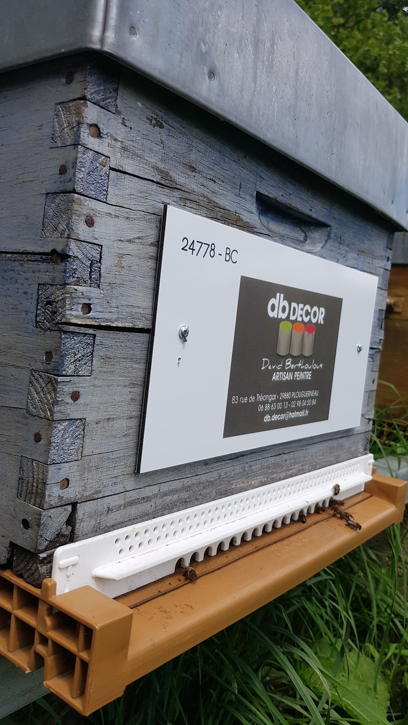 La ruche Artisan peintre DB decor