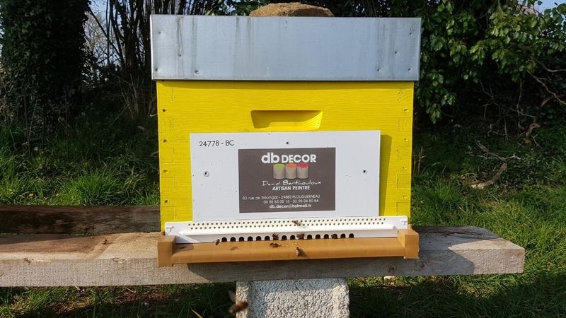 La ruche Artisan peintre DB decor
