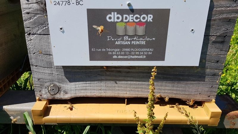 La ruche Artisan peintre DB decor